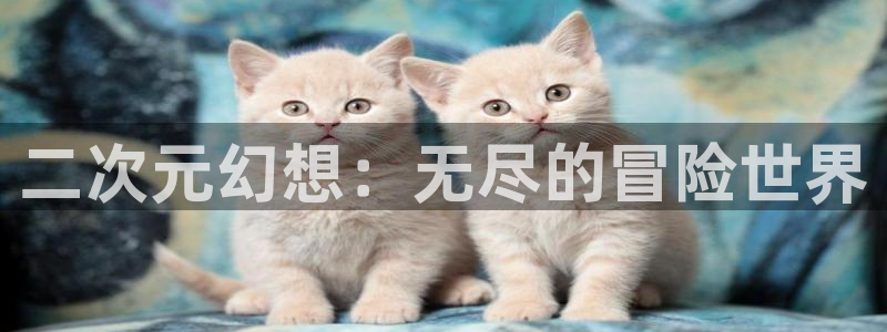 二次元幻想：无尽的冒险世界