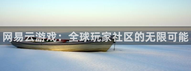 网易云游戏：全球玩家社区的无限可能