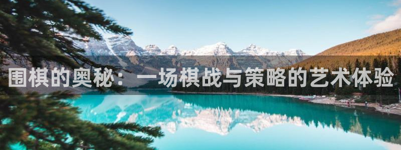 围棋的奥秘：一场棋战与策略的艺术体验
