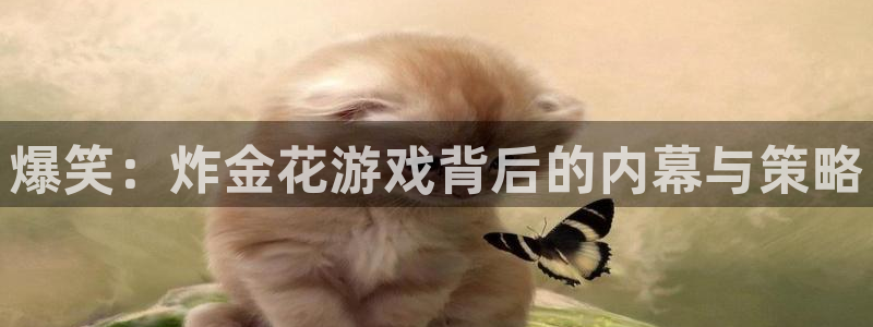 爆笑：炸金花游戏背后的内幕与策略