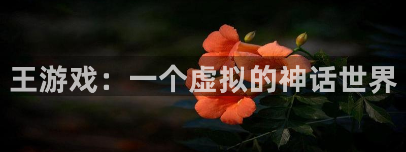 一竞技one卡安不安全：王游戏：一个虚拟的神话世界
