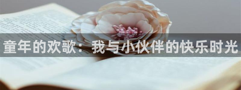 一竞技平台：童年的欢歌：我与小伙伴的快乐时光
