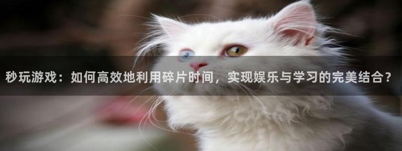 一竞技官网登录入口：秒玩游戏：如何高效地利用碎片时间，实现娱