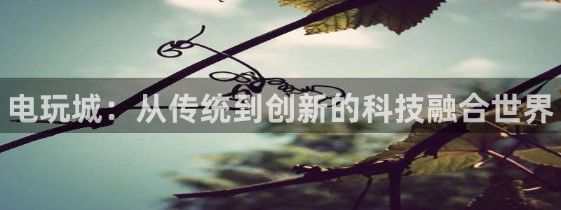 一竞技在线：电玩城：从传统到创新的科技融合世界