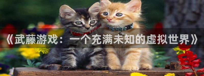 一竞技官网入口登录：《武藤游戏：一个充满未知的虚拟世界》