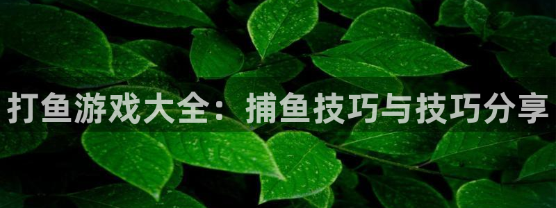 一竞技官网注册流程：打鱼游戏大全：捕鱼技巧与技巧分享